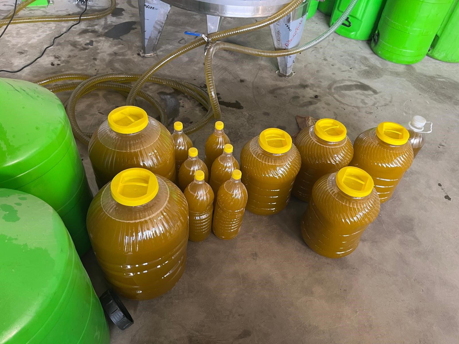 Kara Meyve Altın Sıvıya Dönüşüyor (5)