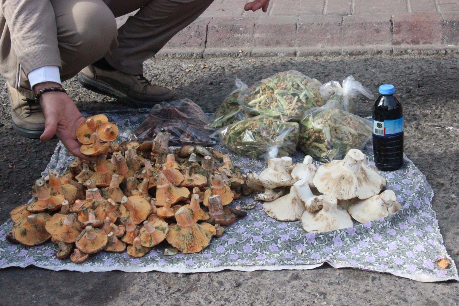 Lezzeti Cezbediyor, Toplaması Dikkat Istiyor (1)