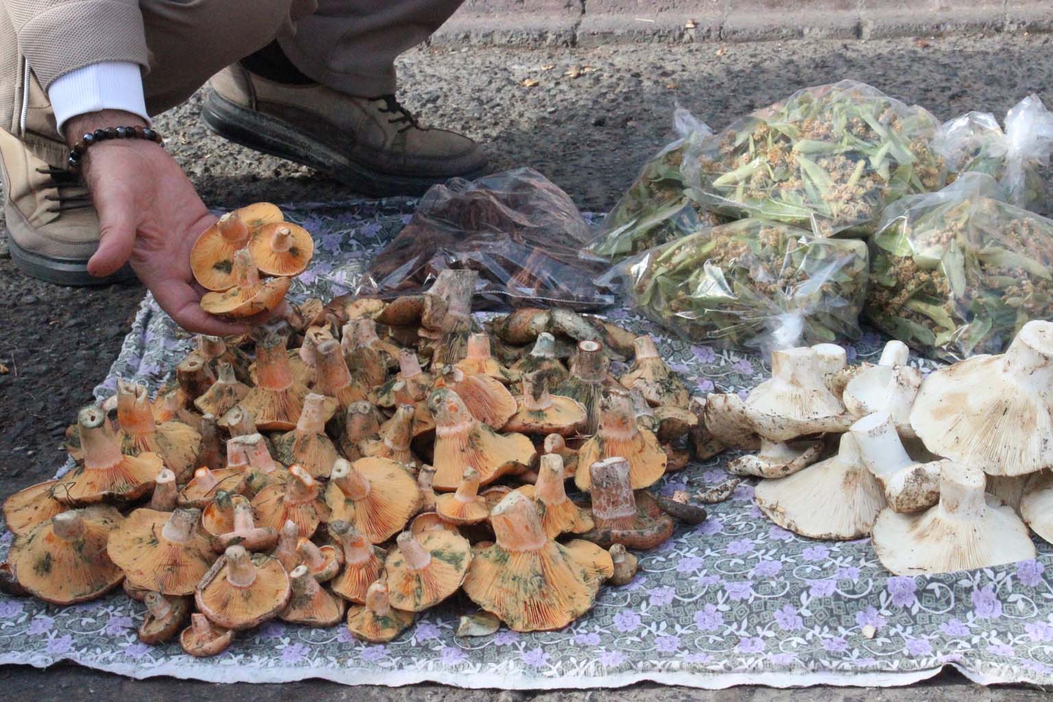 Lezzeti Cezbediyor, Toplaması Dikkat Istiyor (3)