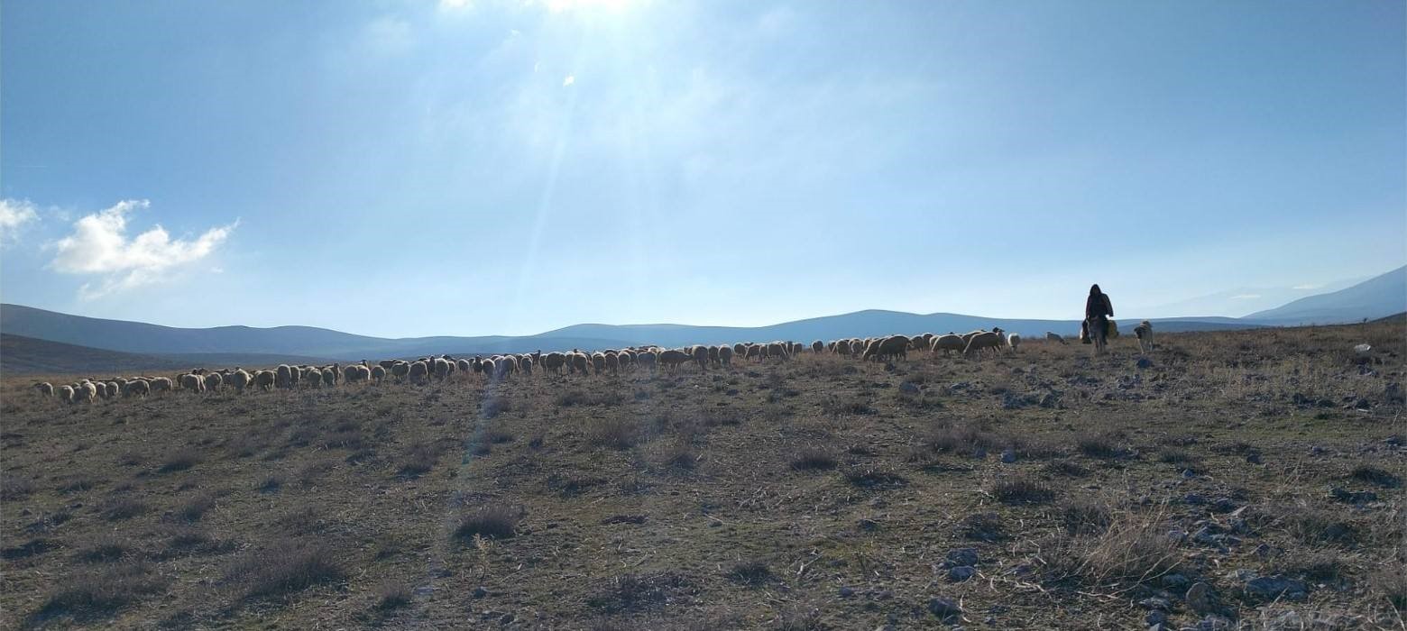 Meralarda Maden Arama Izni Verildi (2)