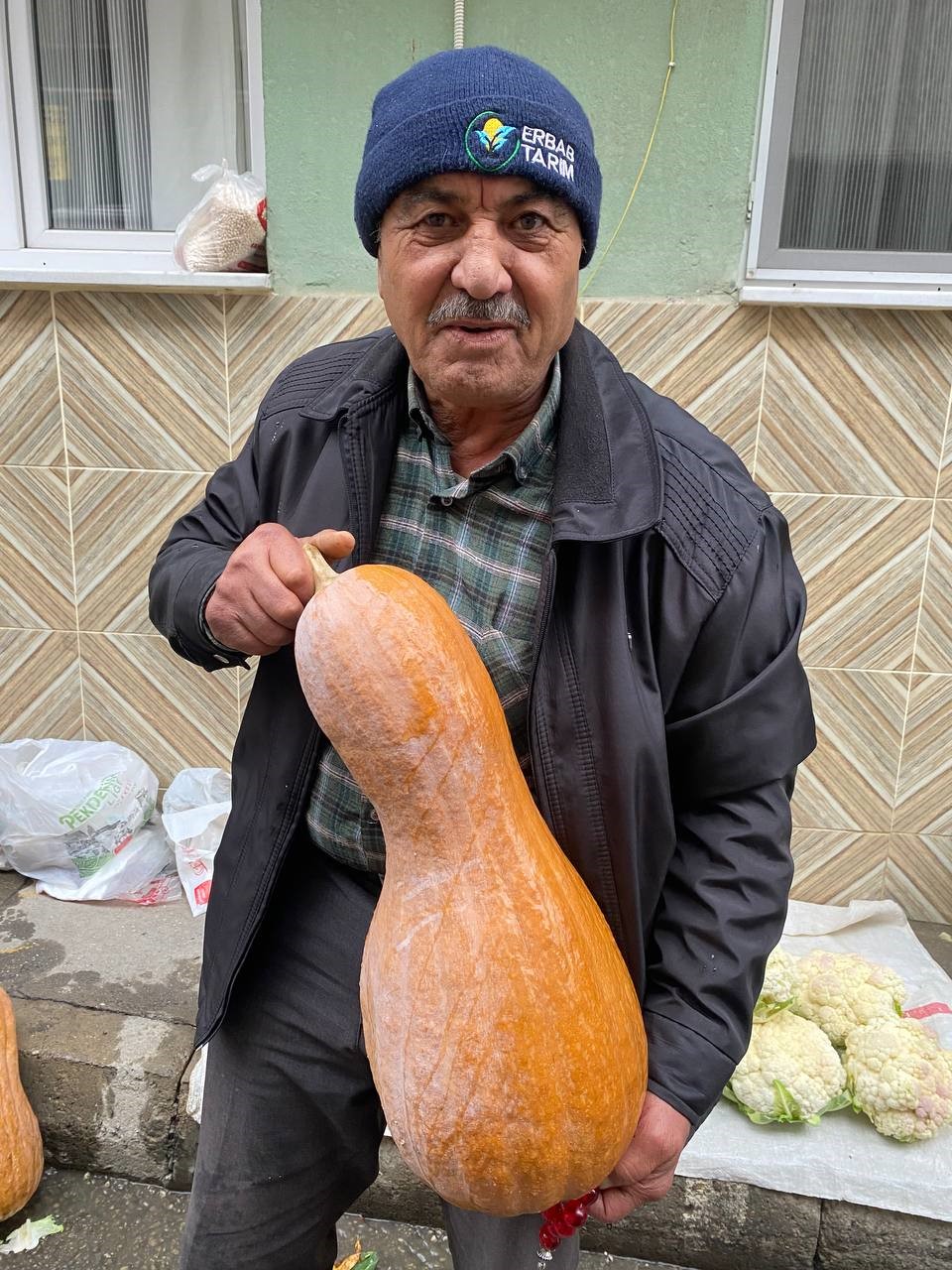 Sebze Mi Meyve Mi Hem Kendisi Hem De Çekirdeği Şifa Kaynağı (3)