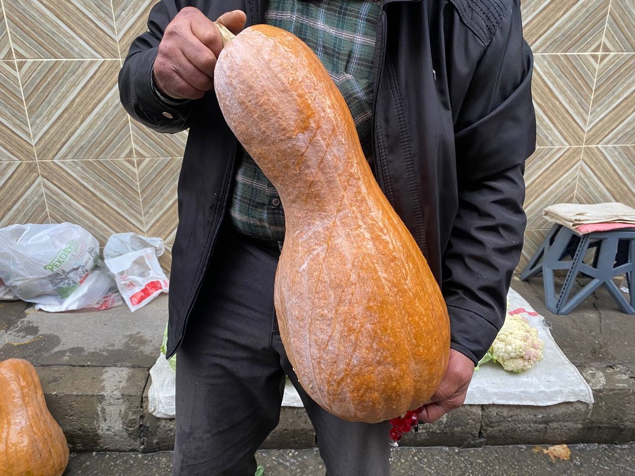 Sebze Mi Meyve Mi Hem Kendisi Hem De Çekirdeği Şifa Kaynağı (4)