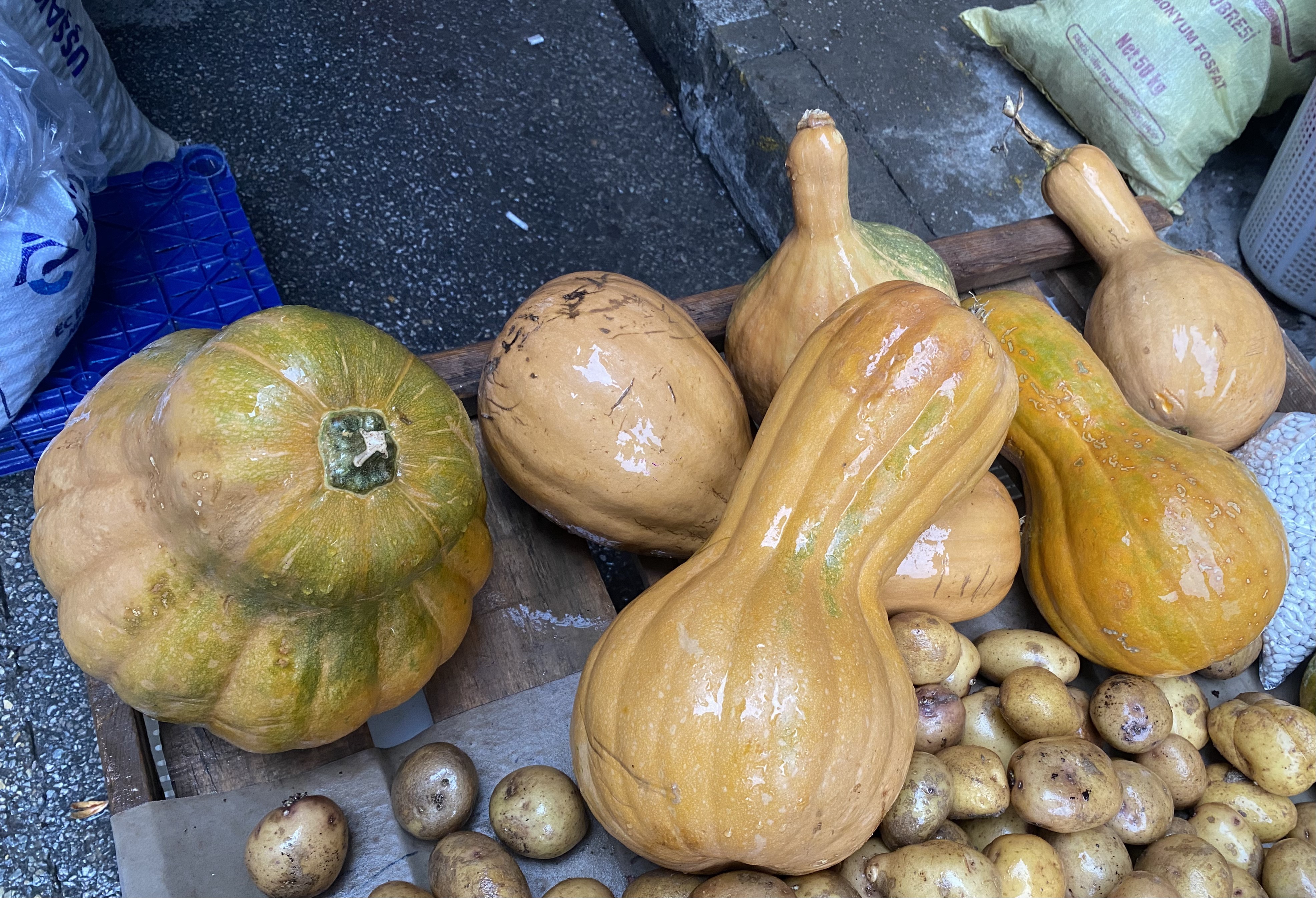 Sebze Mi Meyve Mi Hem Kendisi Hem De Çekirdeği Şifa Kaynağı (5)