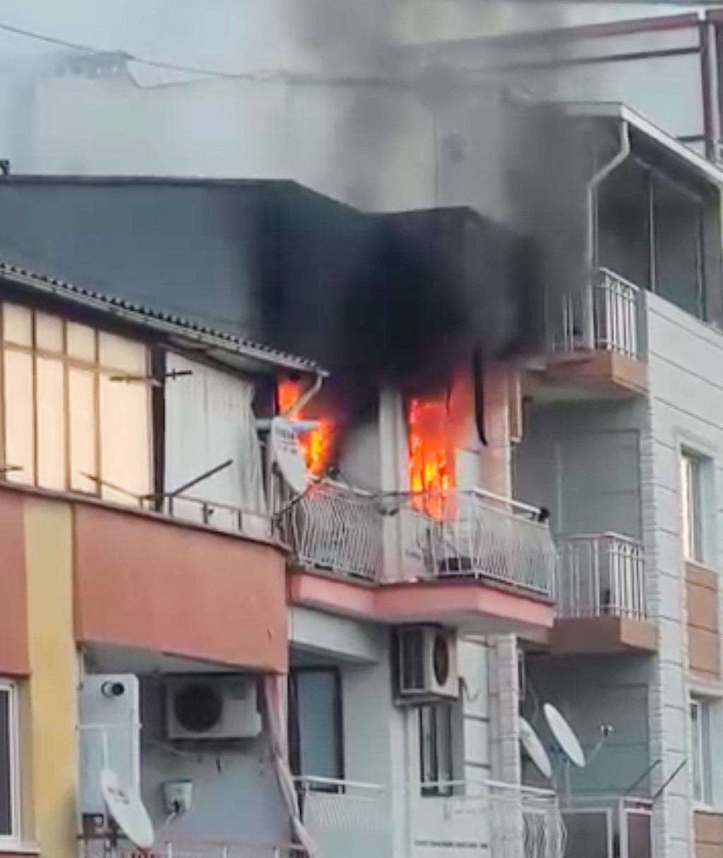 Yangında 6 Kedi Telef Oldu (2)