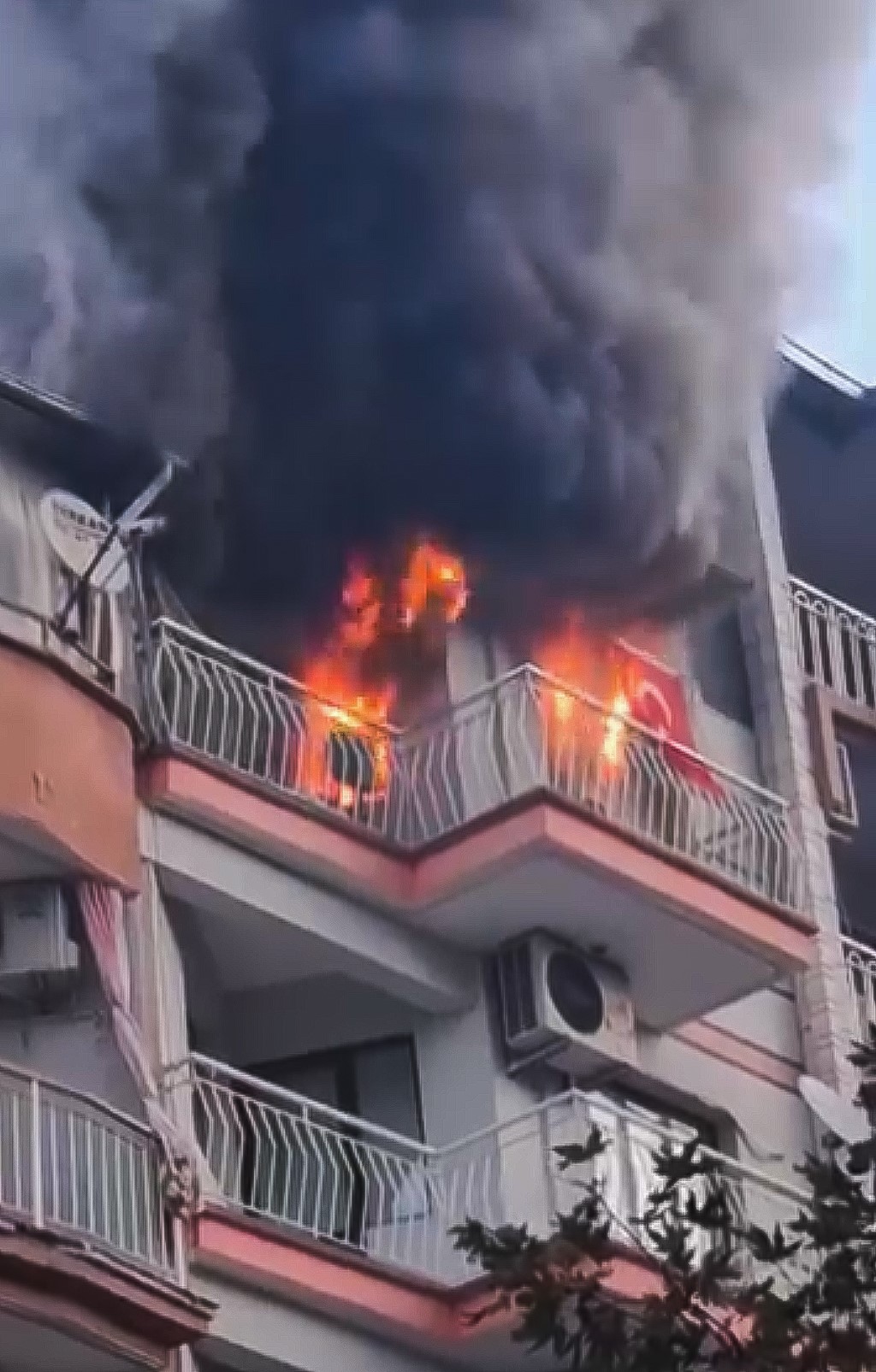 Yangında 6 Kedi Telef Oldu (4)