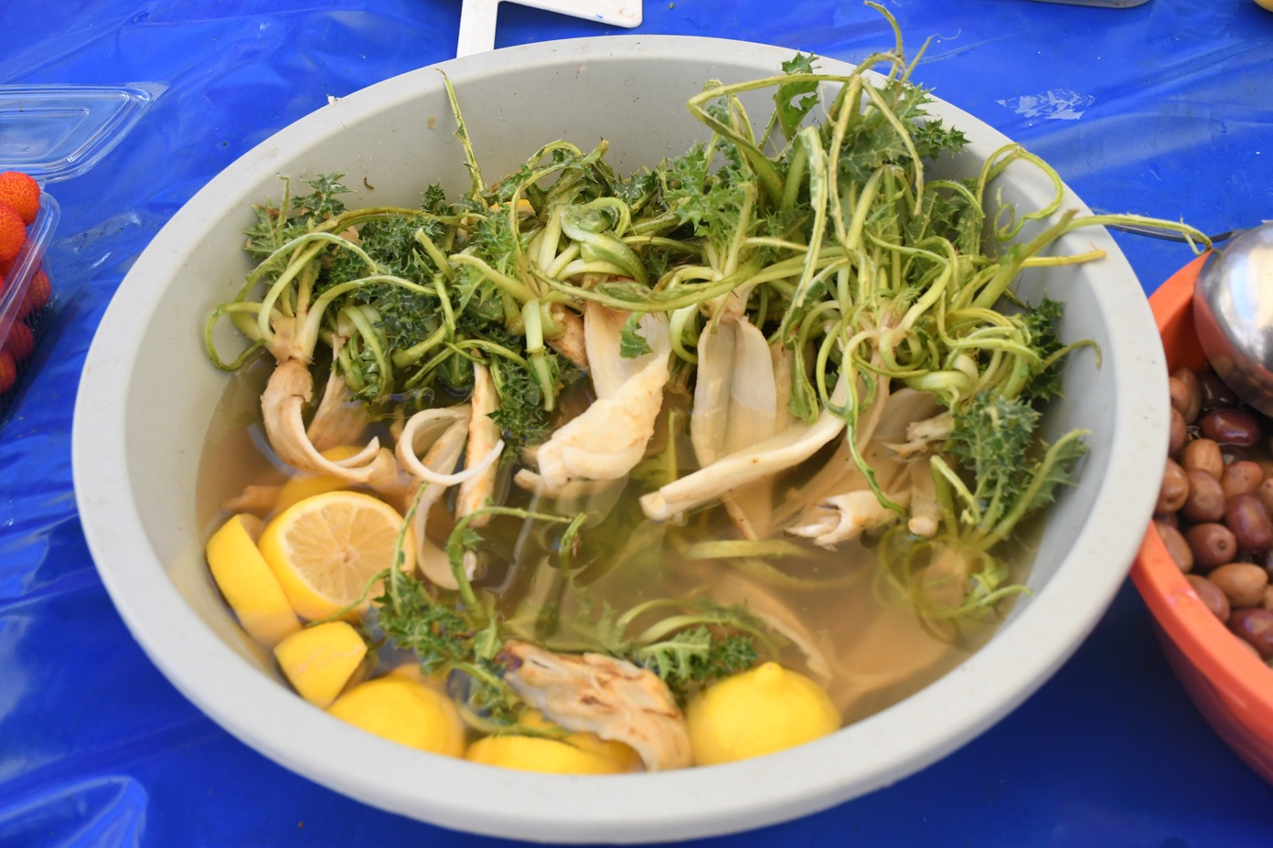 Yerel Üretici Sergisi (6)-1