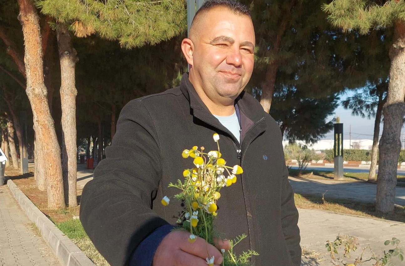 Zemheri Papatyaları Açtı (2)