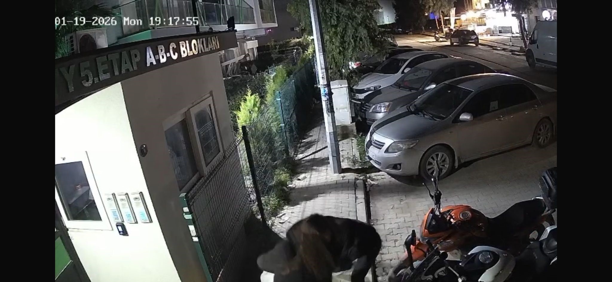 26 Yaşındaki Gözde’den Yürekleri Yakan Haber Geldi (1)