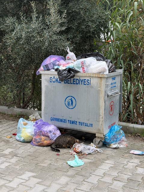 Ak Parti’ye Geçince Hizmet Yağacaktı, Söke Çöp Içinde Kaldı (6)