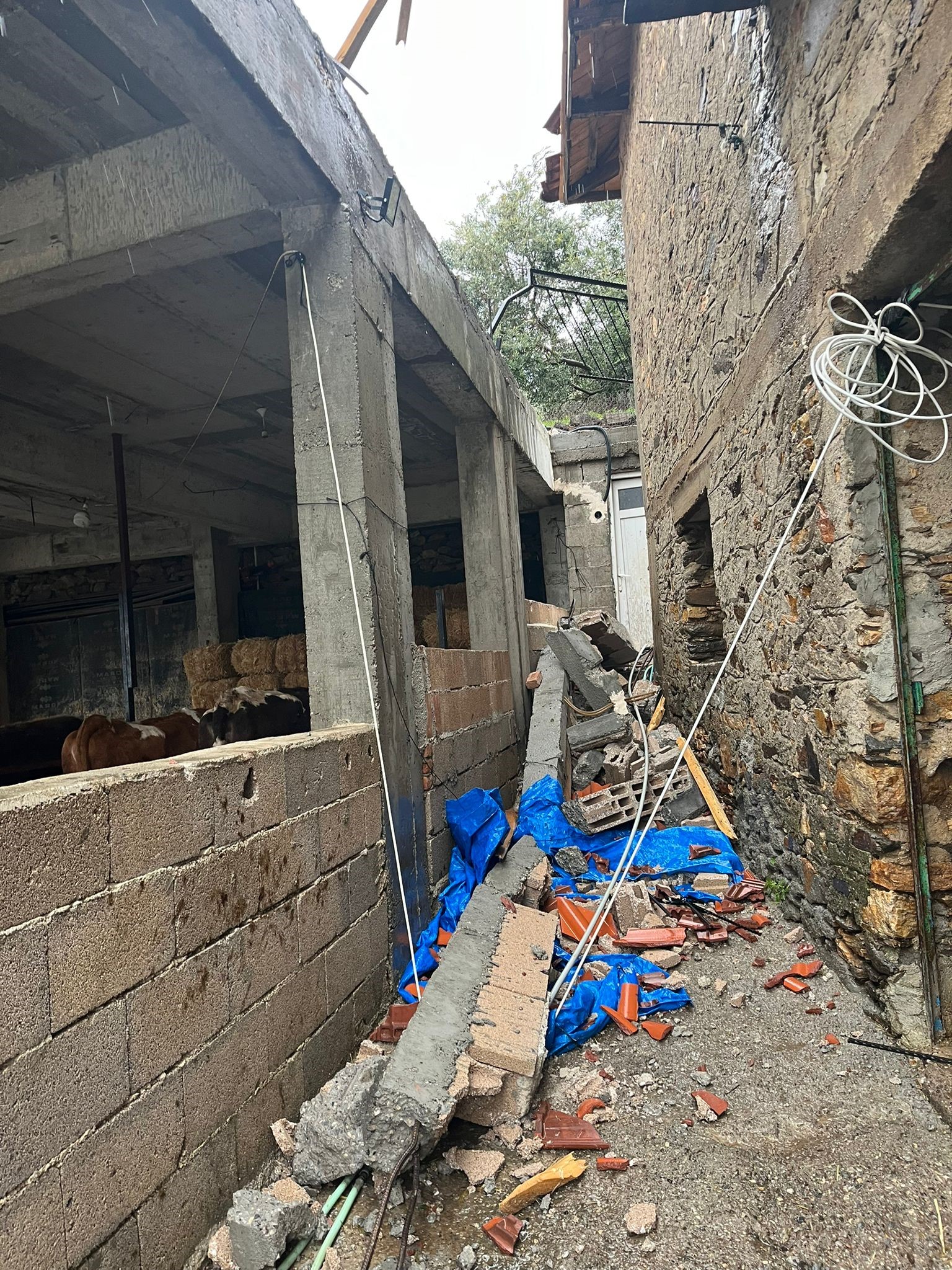 Aydın Köşk’te Ortalık Savaş Alanına Döndü (1)