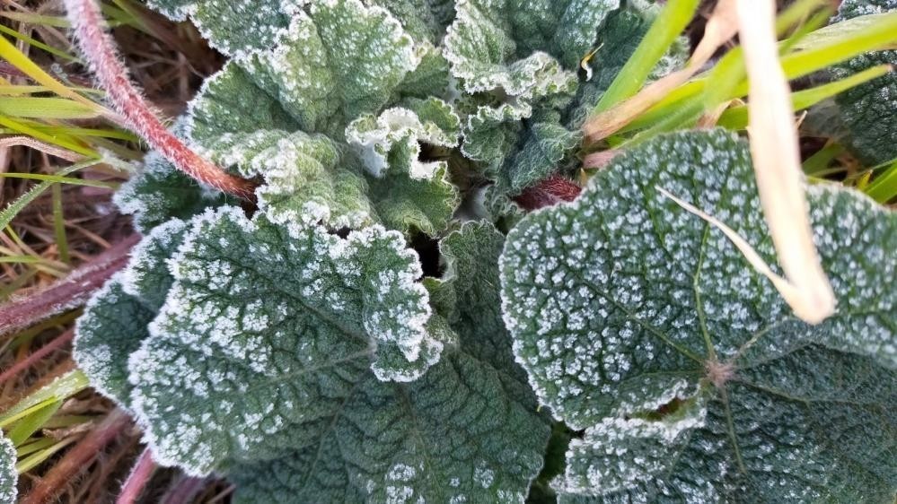 Aydın’a Uyarı Geldi.. Donacağız… (2)