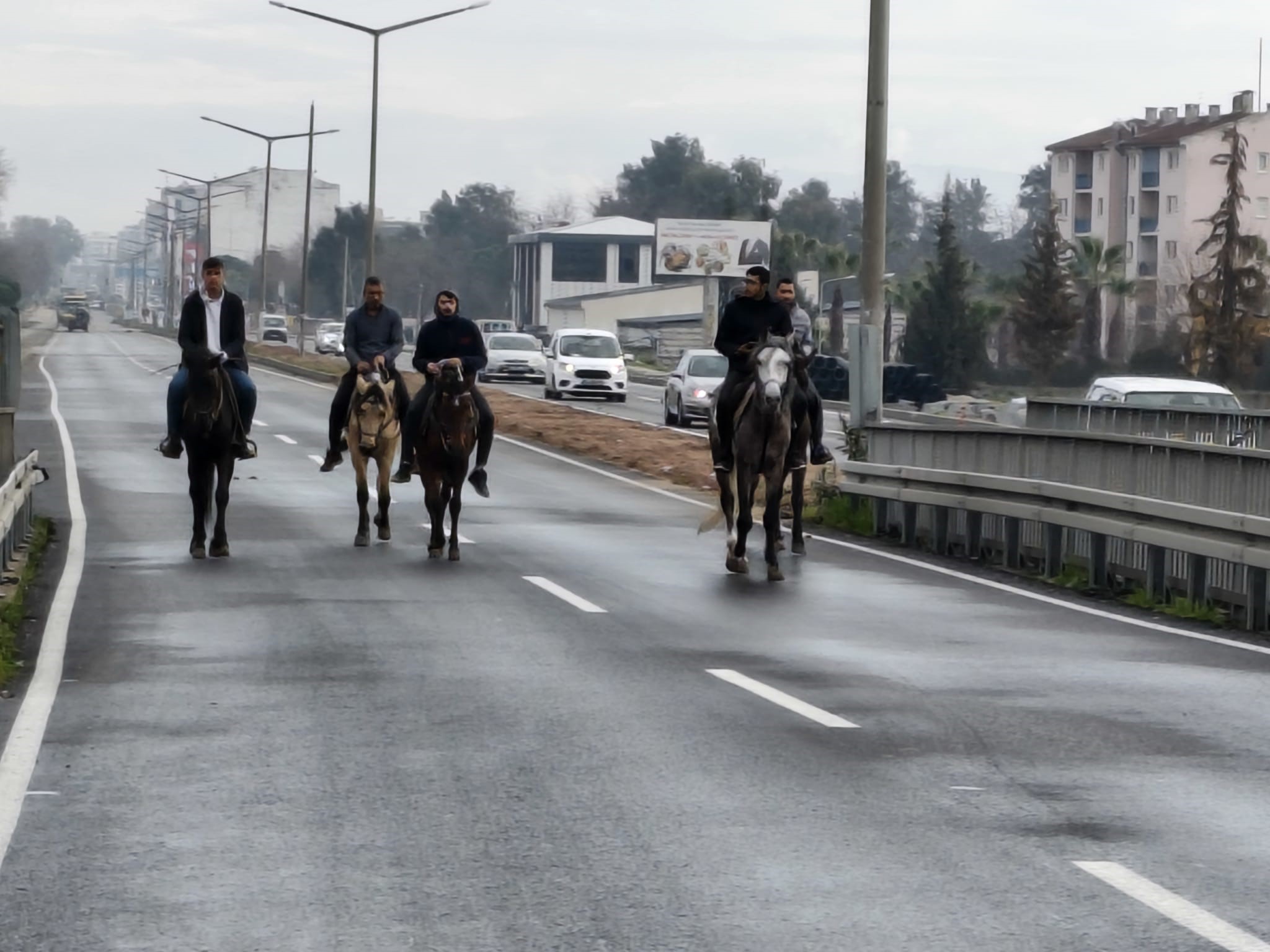 Aydın’da At Yarışları Düzenlenecek (4)