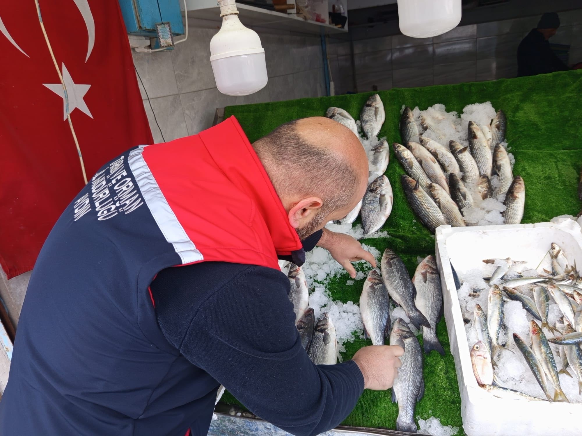 Aydın’da Balık Tezgahlarına Denetim (4)