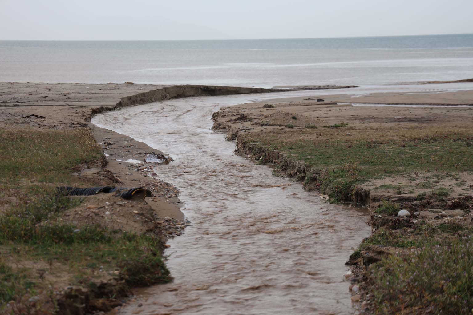 Aydın’da Denizin Rengi Değişti (4)