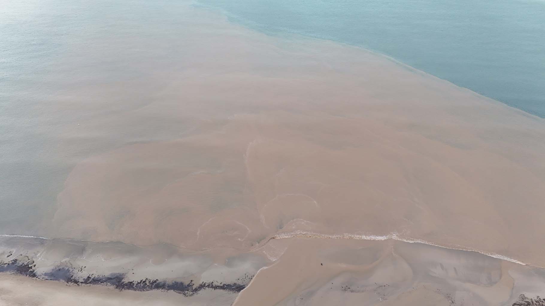 Aydın’da Denizin Rengi Değişti (8)