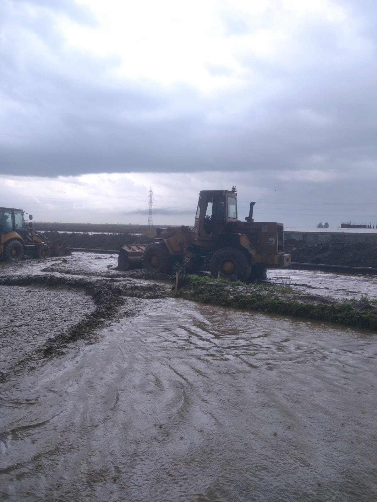 Aydın'da Dereler Taştı, Sokaklar Göle Döndü (6)