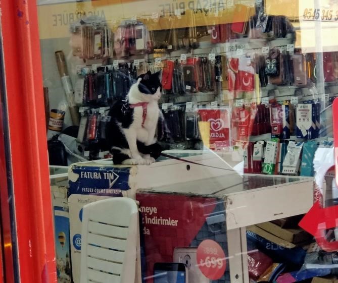 Aydın’da Esnaf Ortadan Kayboldu, Nerede Olduğu Ortaya Çıktı (4)