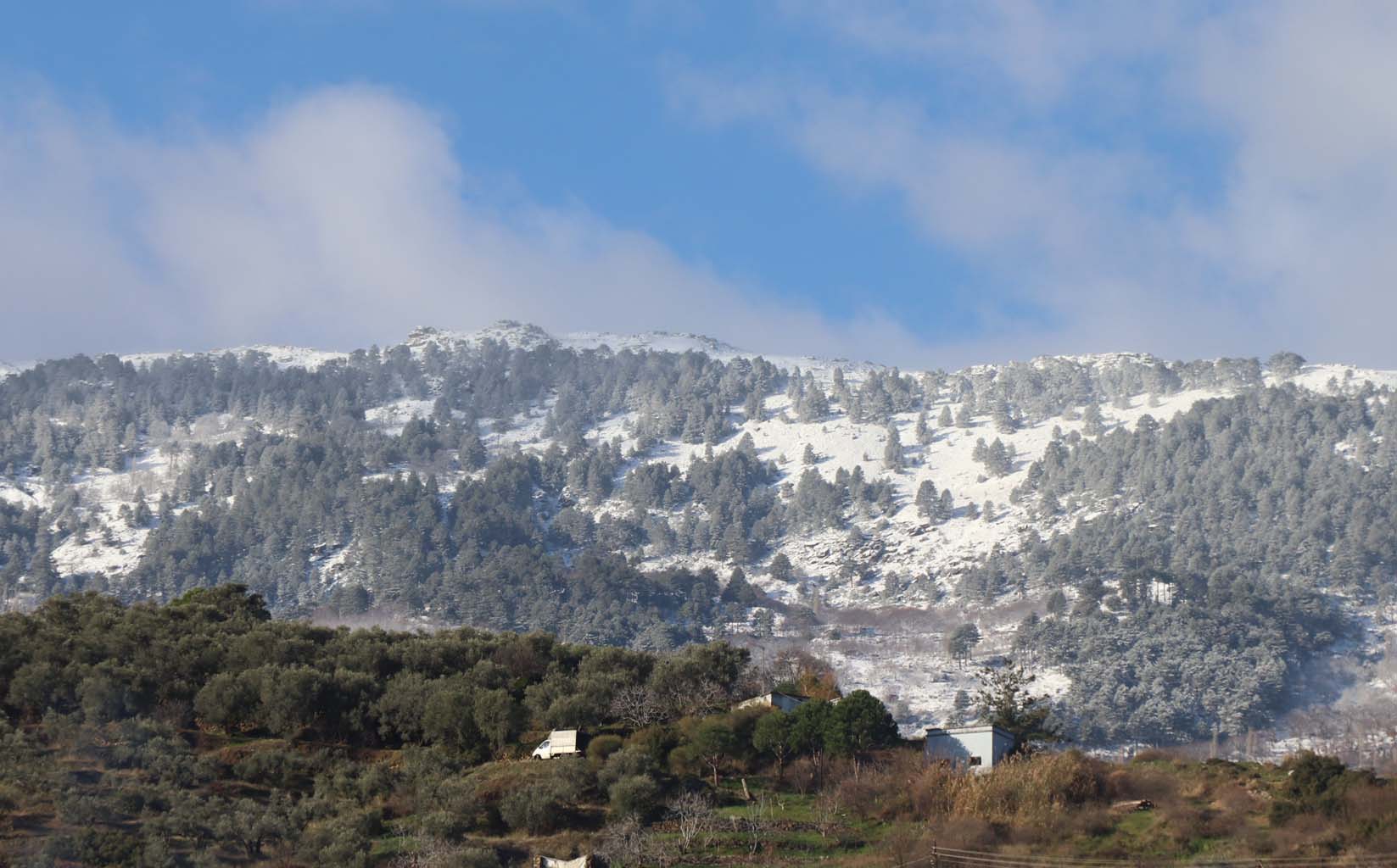 Aydın’da Kar Yağışı Başladı (2)-3