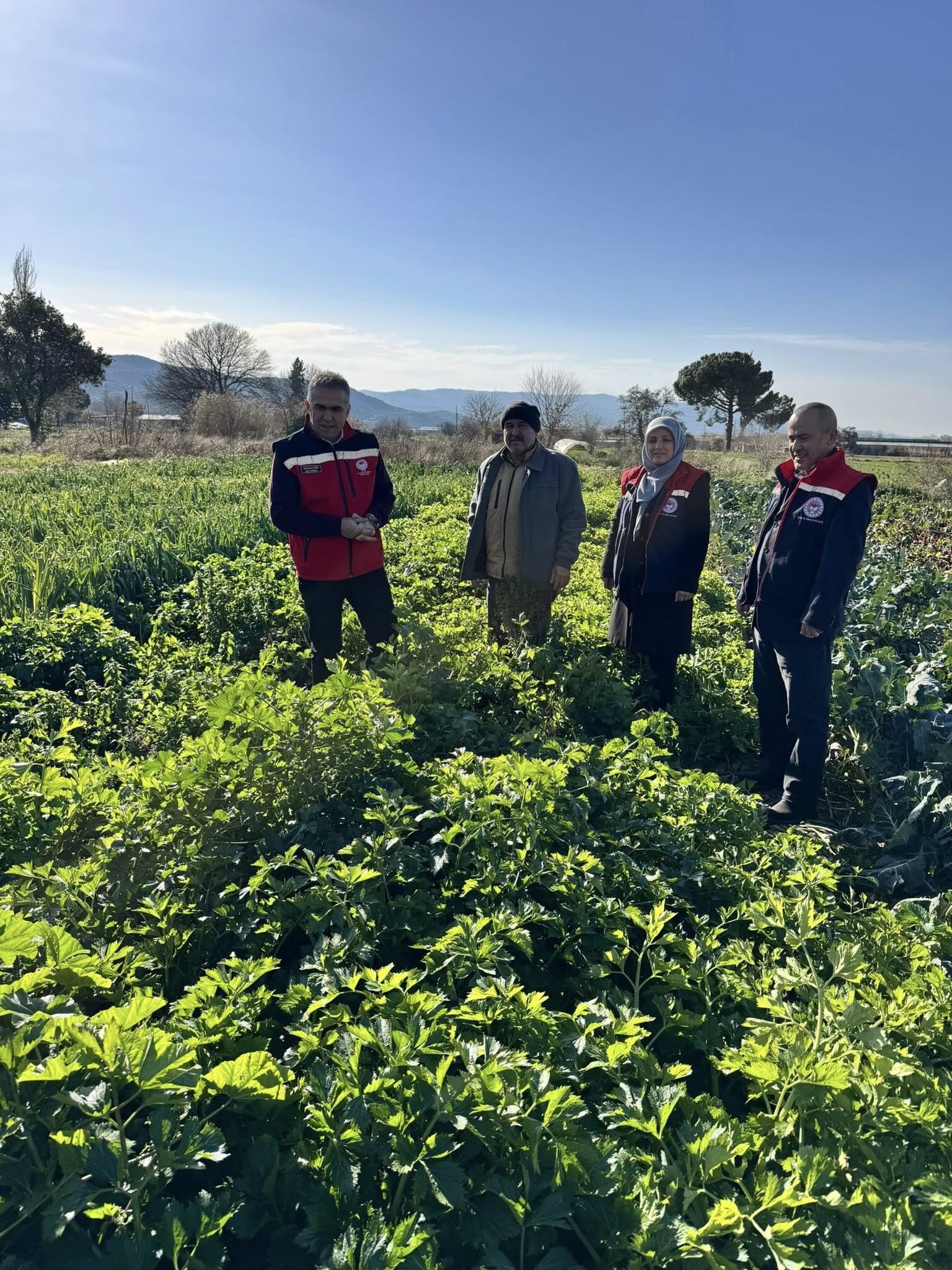 Aydın’da Kimyasız Üretimde Inceleme (3)