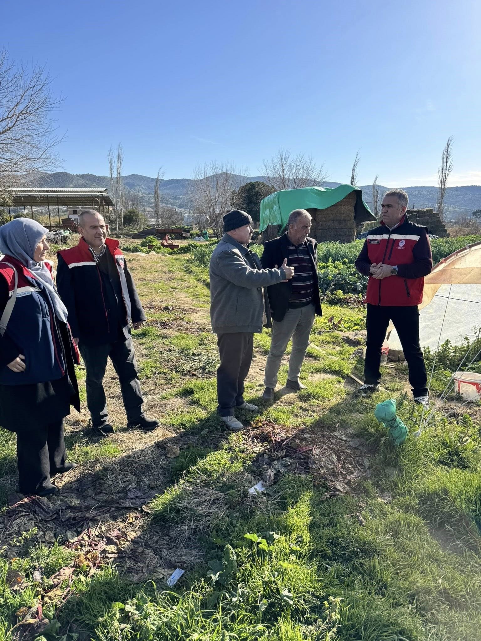 Aydın’da Kimyasız Üretimde Inceleme (4)