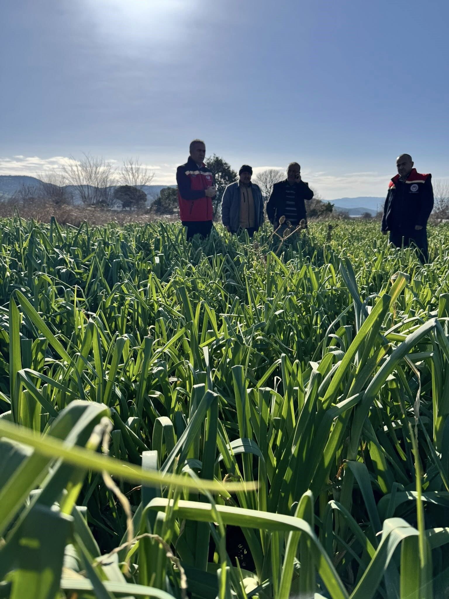 Aydın’da Kimyasız Üretimde Inceleme (6)