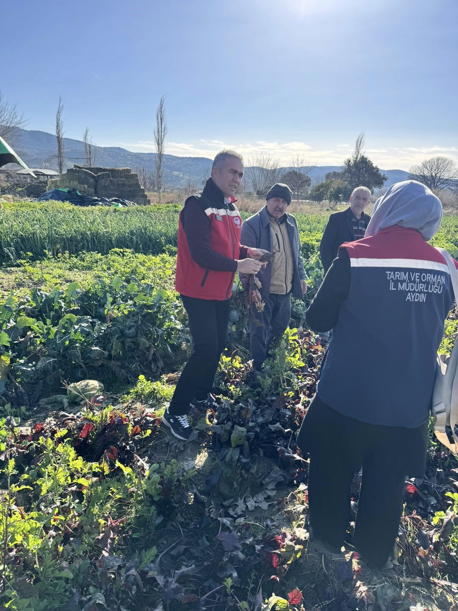 Aydın’da Kimyasız Üretimde Inceleme (7)
