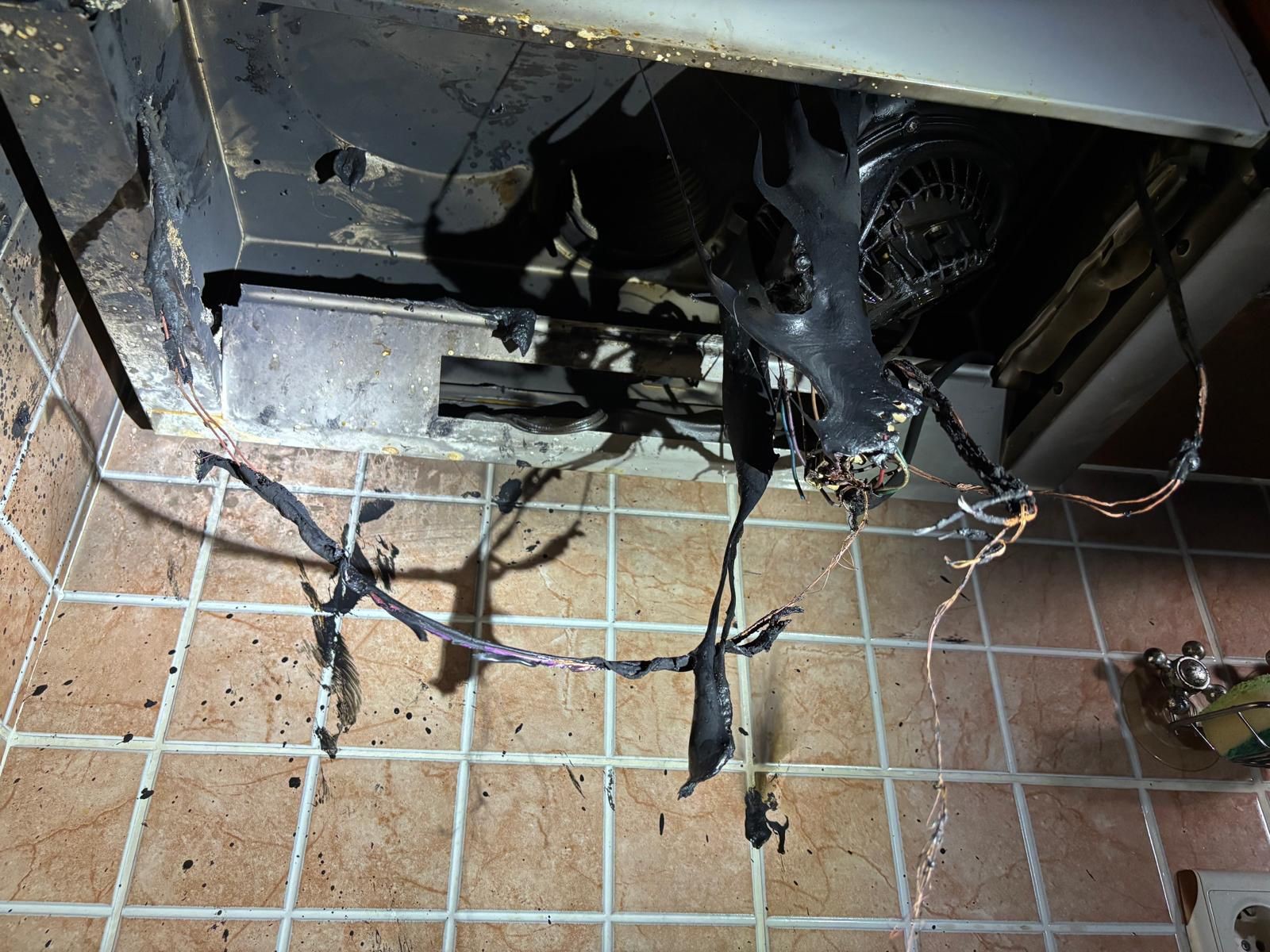 Aydın’da Mahalleyi Panikleten Olay (7)