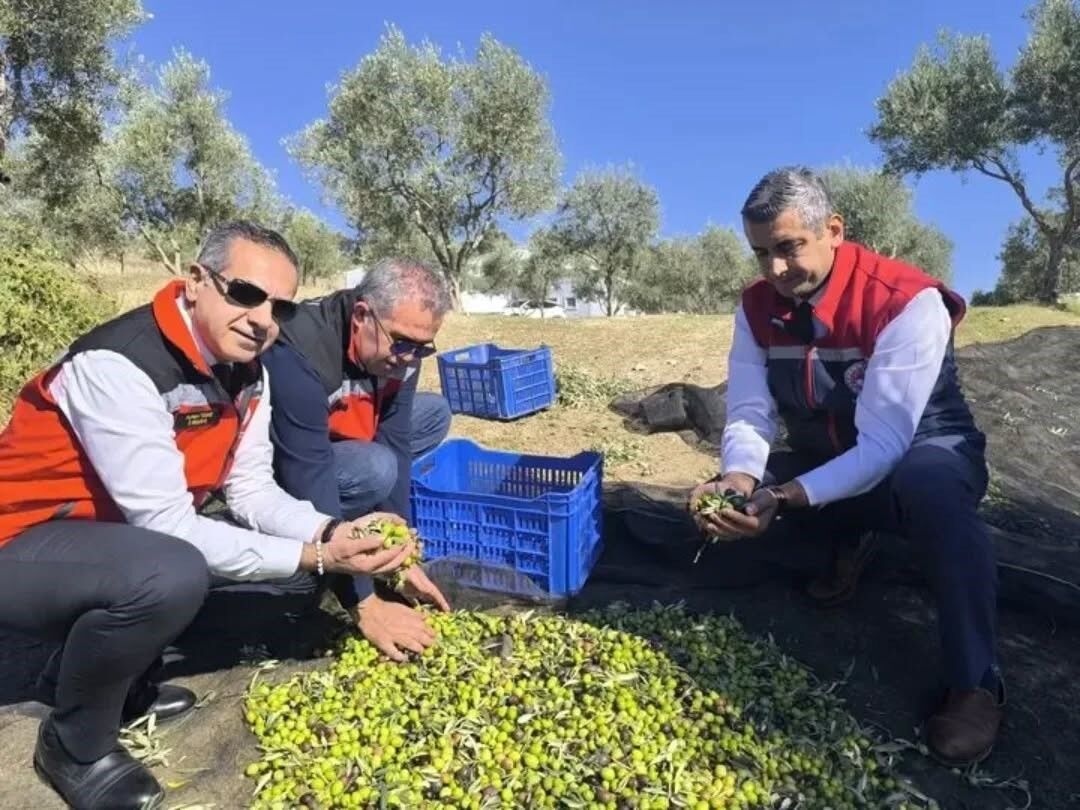 Aydın’da Tarım Denetimlerinde 6 Milyon Lira Ceza (2)