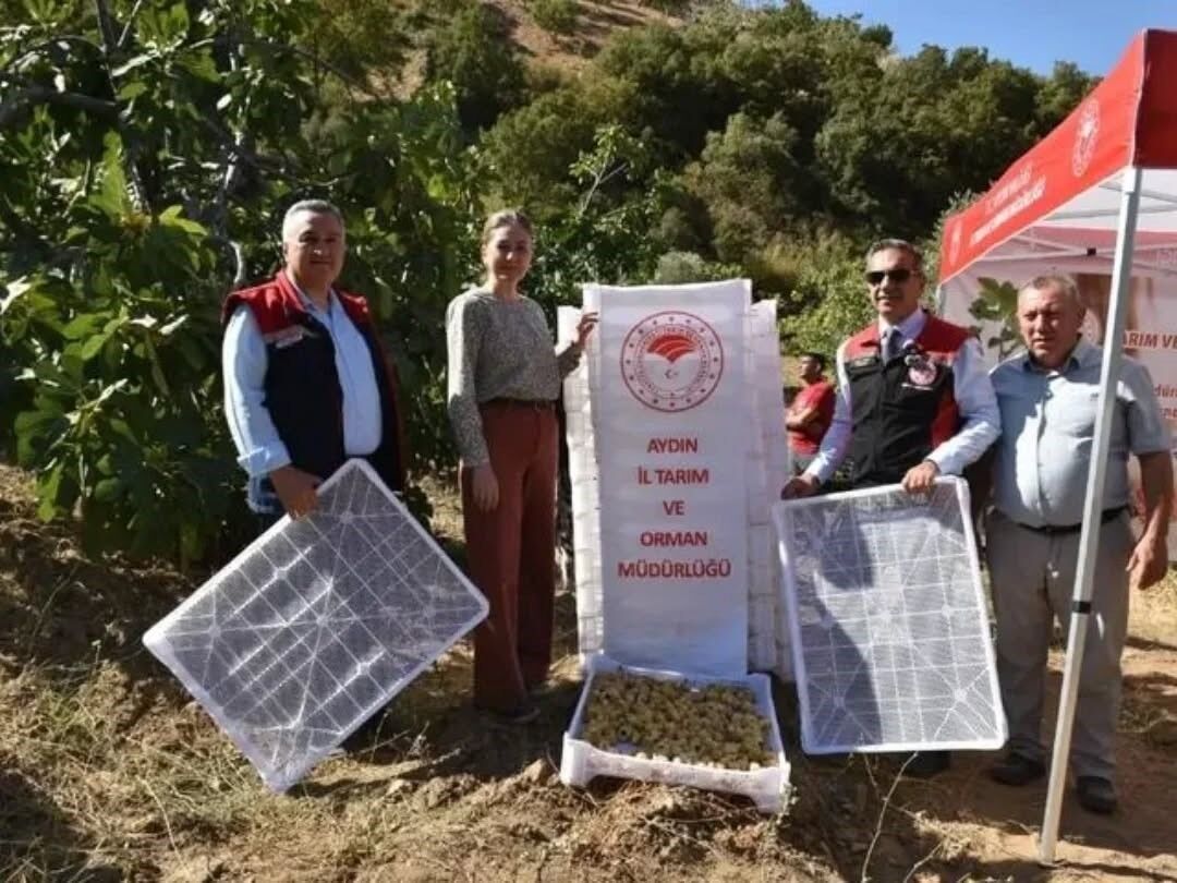 Aydın’da Tarım Denetimlerinde 6 Milyon Lira Ceza (4)