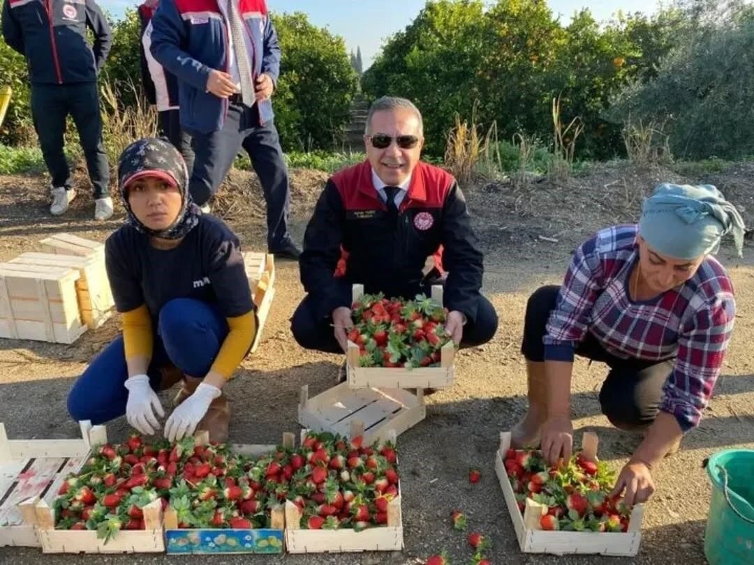 Aydın’da Tarım Denetimlerinde 6 Milyon Lira Ceza (5)