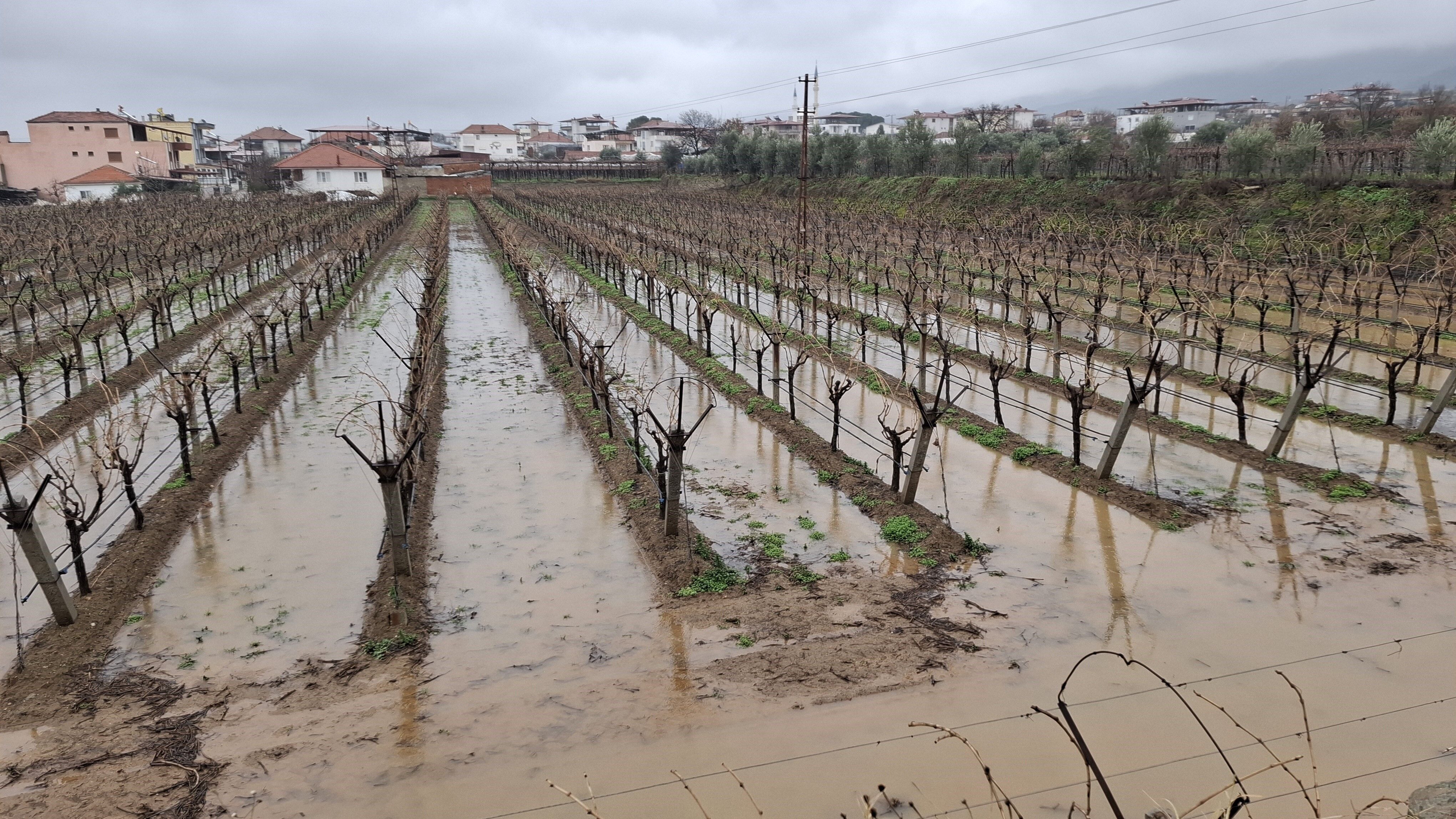 Bahçeler Suyla Doldu (2)