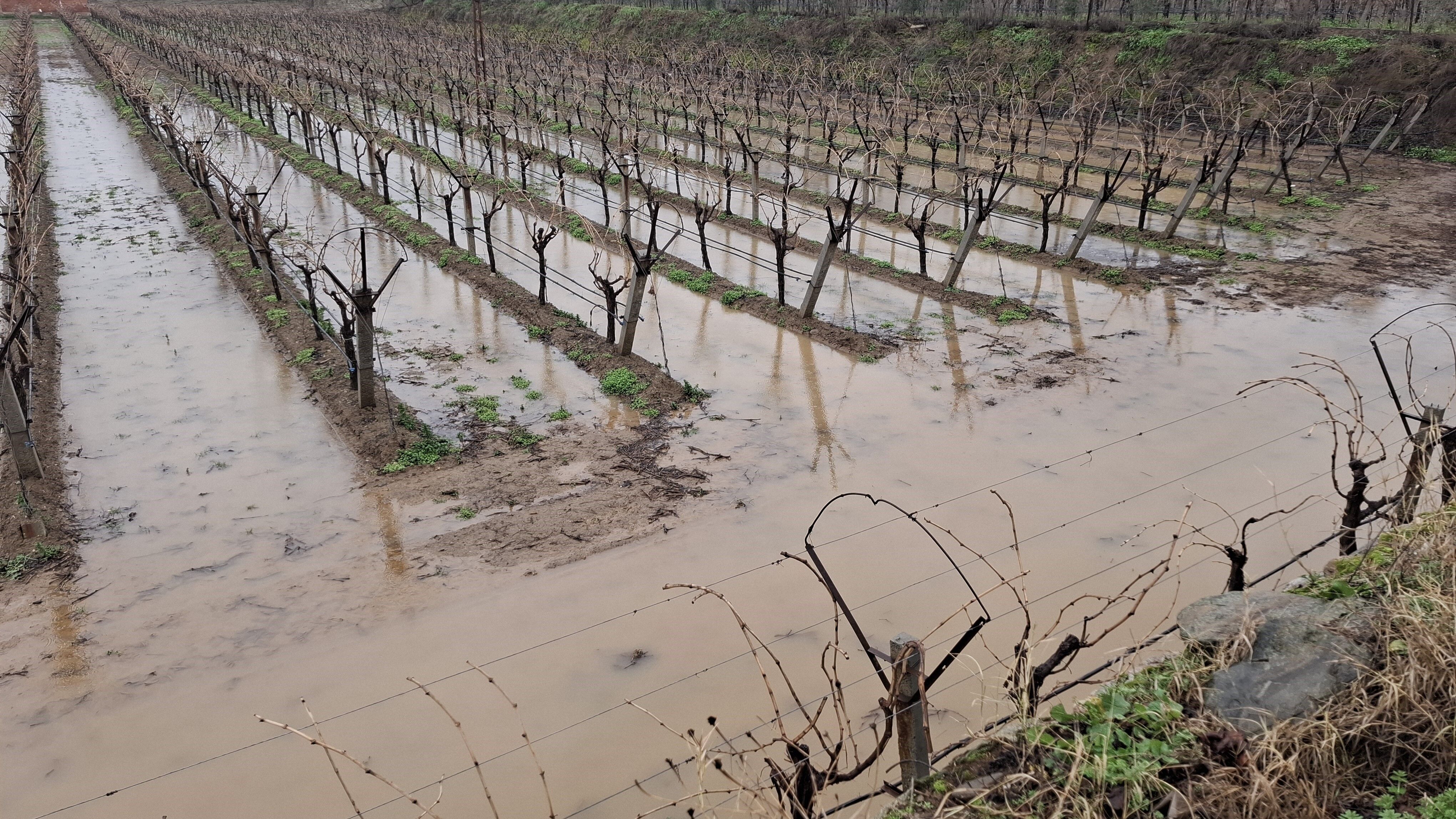 Bahçeler Suyla Doldu (3)