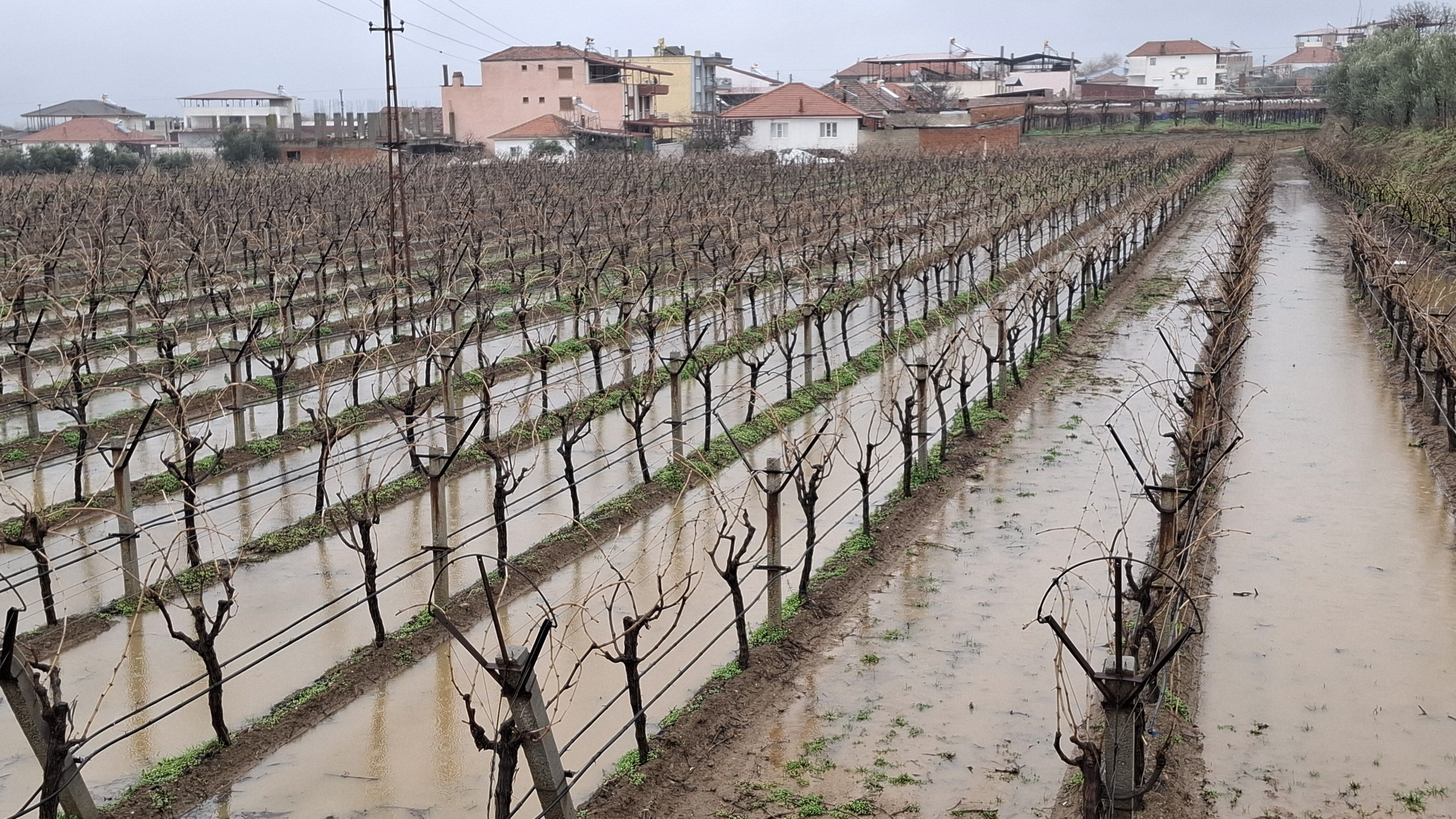 Bahçeler Suyla Doldu (4)