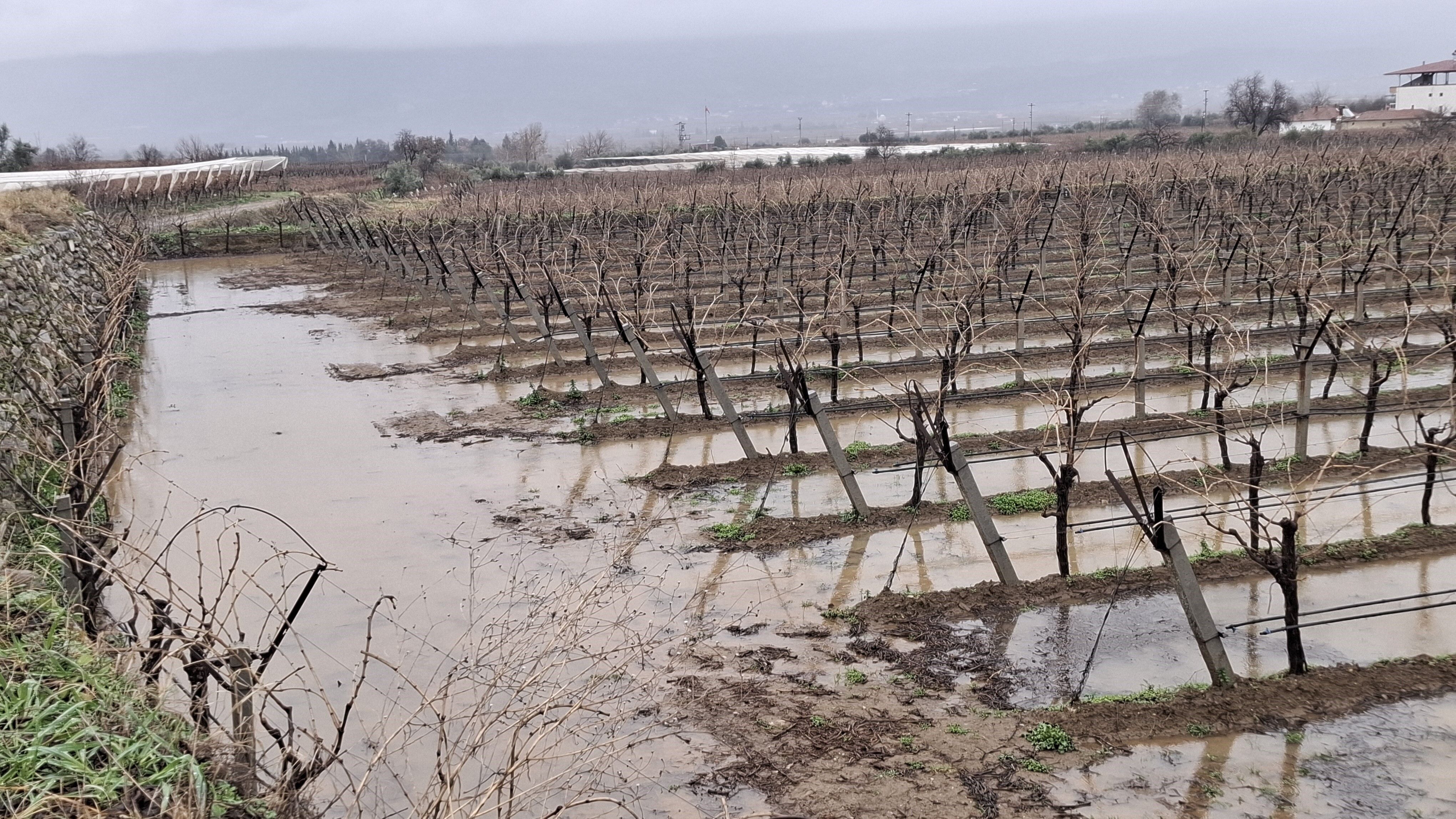 Bahçeler Suyla Doldu (5)