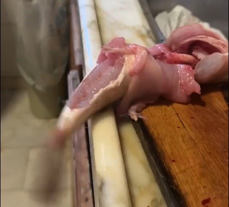 Balık Aldı, Gördükleri Sonrası Yiyemedi (3)