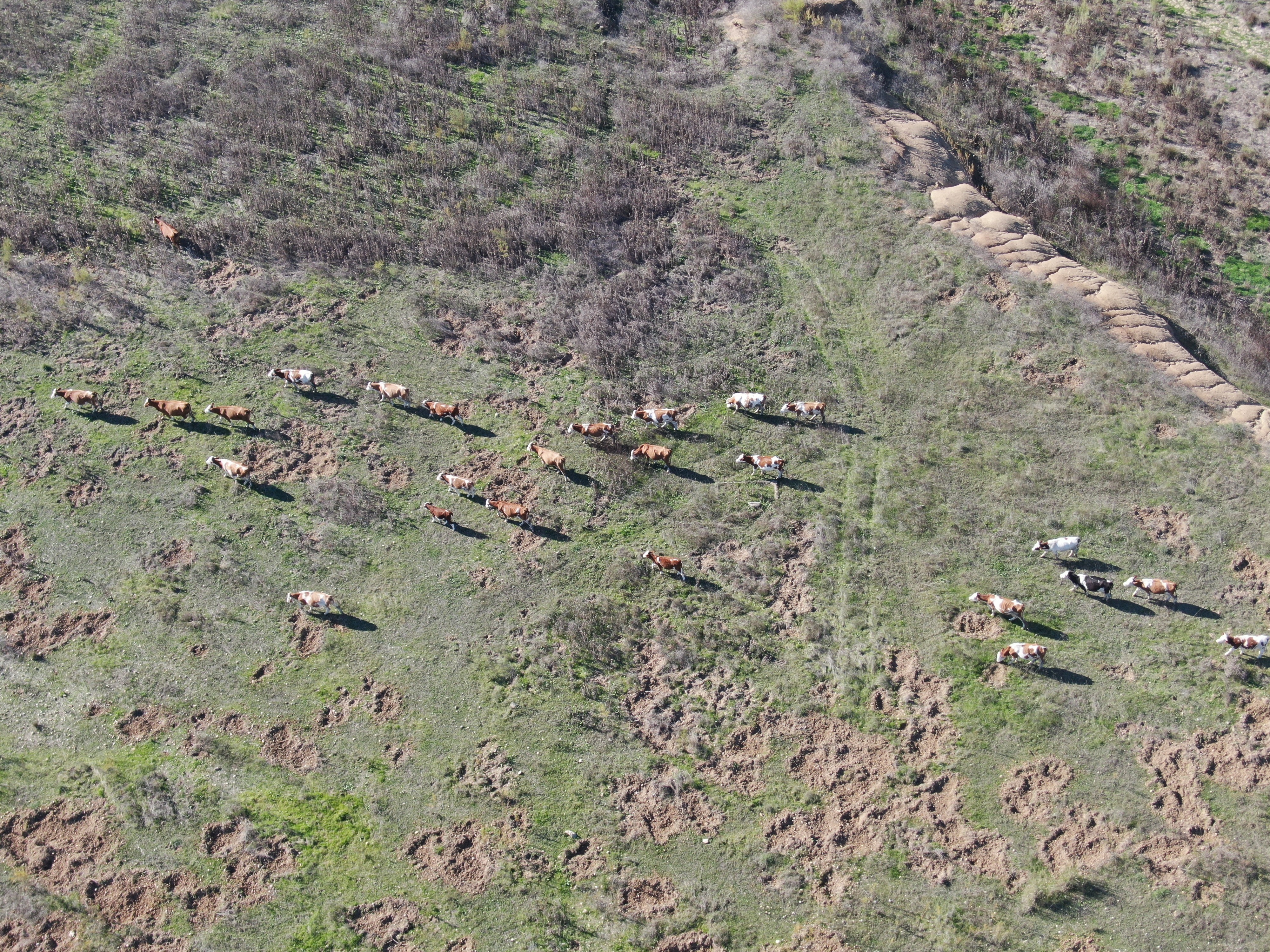 Barajlarda Son Durum Açıklandı (3)