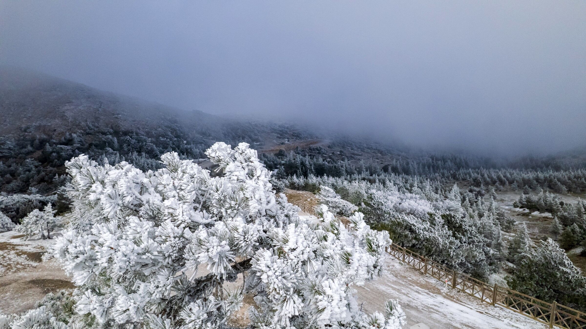 Beyaz Örtünün Kar Olmadığı Ortaya Çıktı (4)