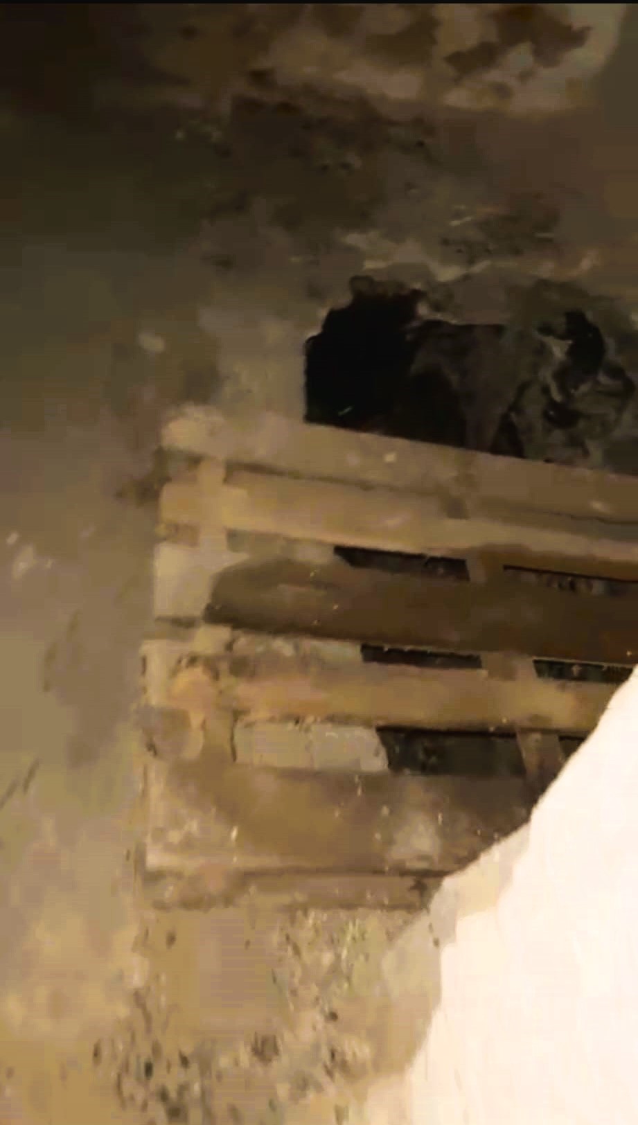 Bu Çukurun Içine Girmişler (4)