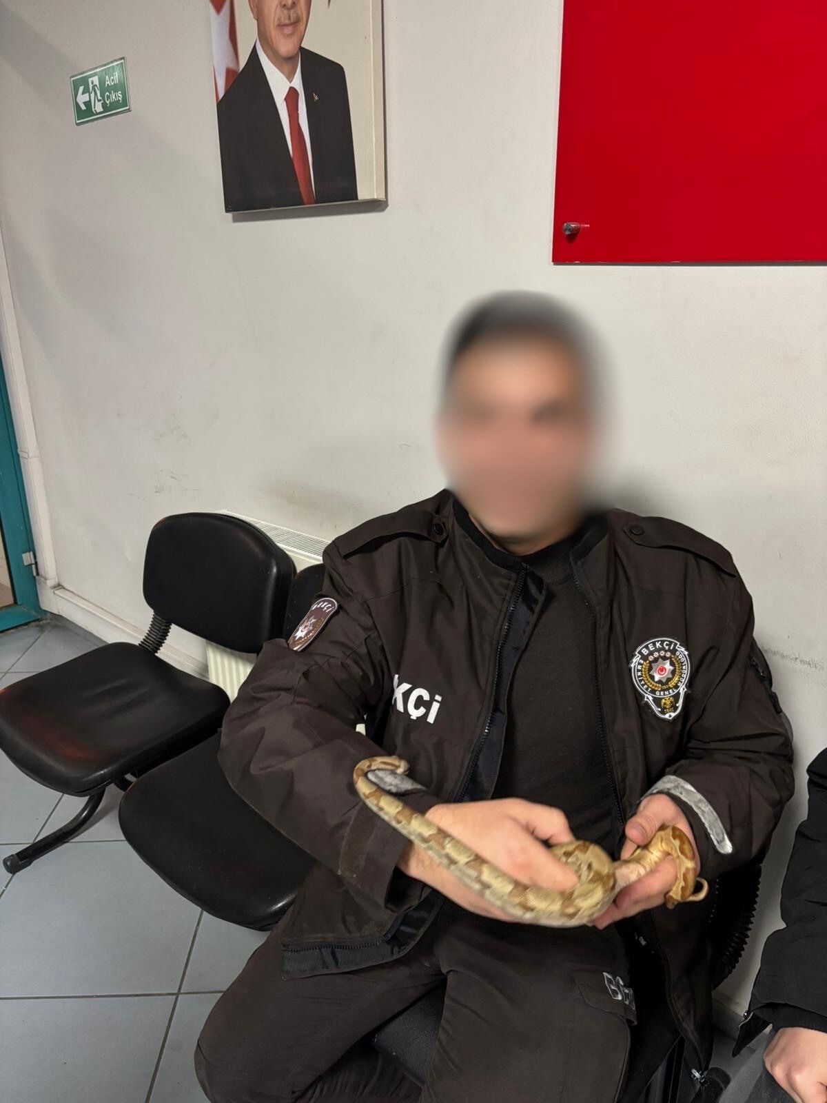 Çay Içmeye Yılanla Gelmiş (6)