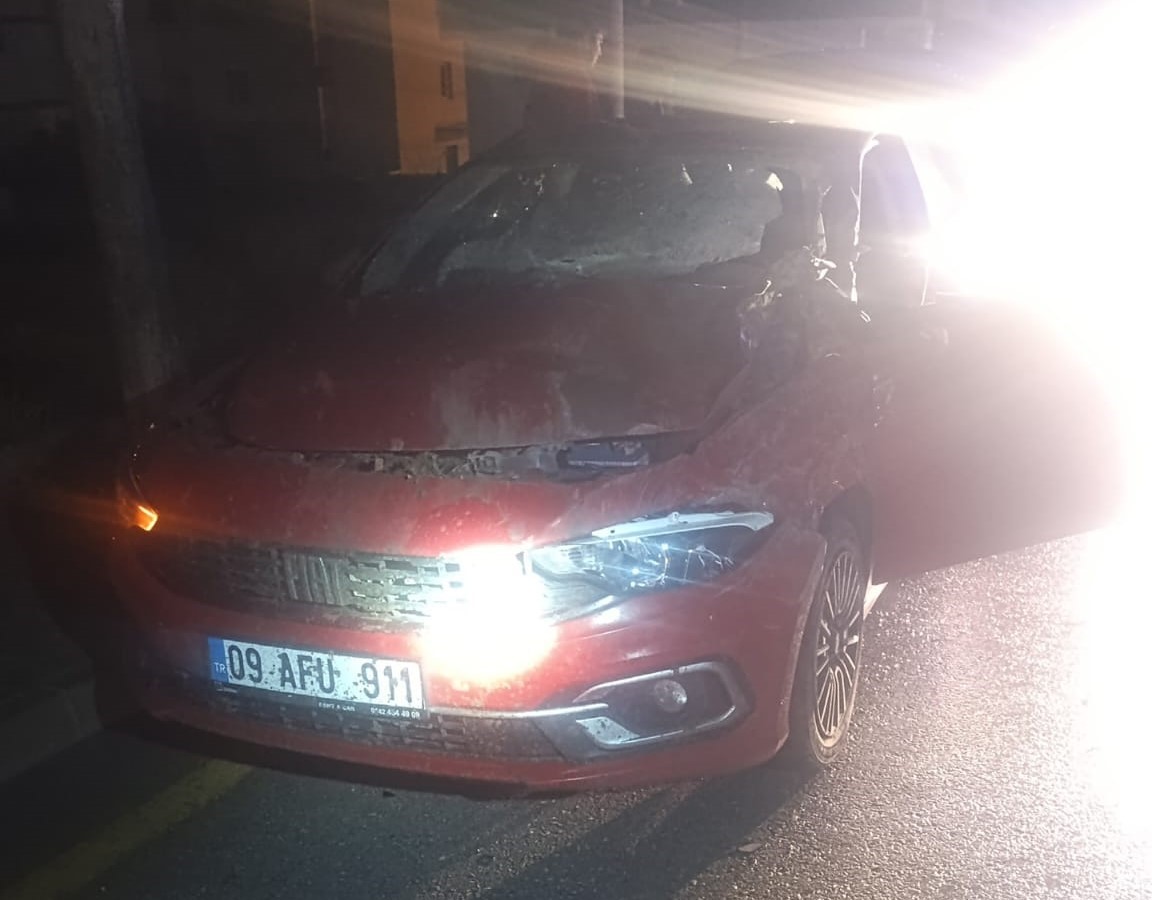 Didim’deki Kazada 1 Ölü 2 Yaralı (4)