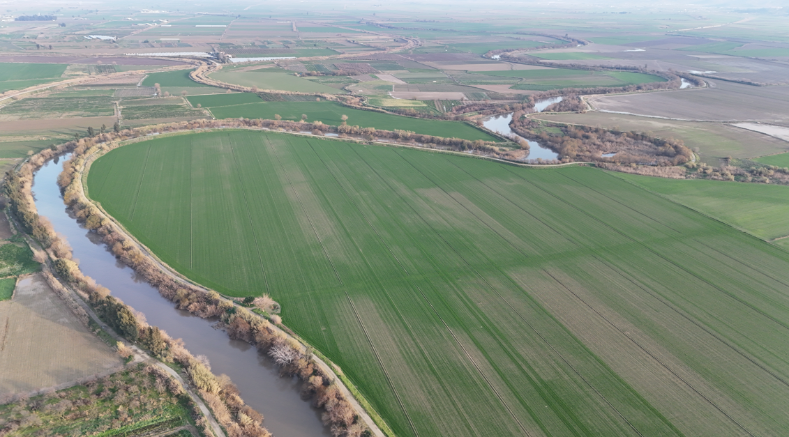 Ekran Görüntüsü 2026 01 29 104659