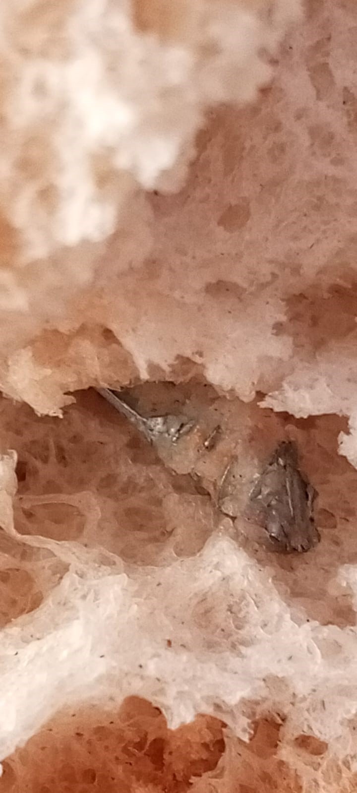 Fırından Alınan Ekmeğin Içinden Vida Çıktı (3)