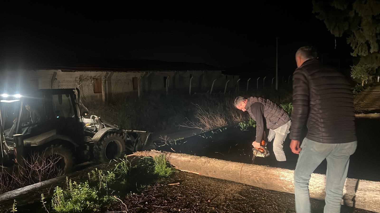 Germencik’te Ağaçlar Devrildi (2)