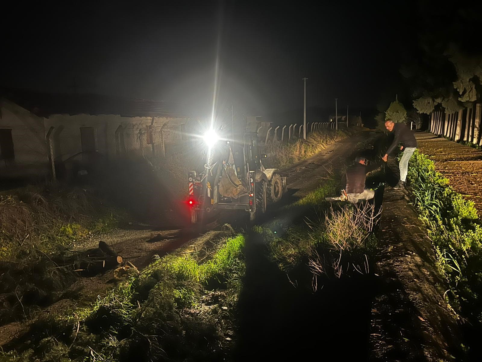 Germencik’te Ağaçlar Devrildi (3)