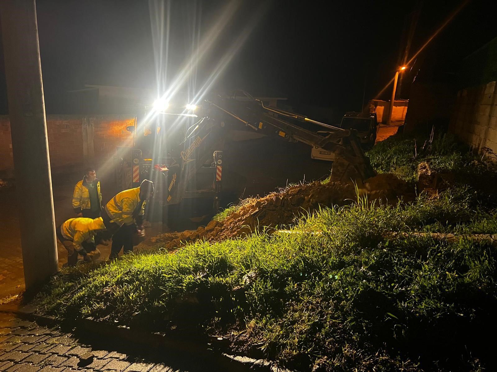 Germencik’te Ağaçlar Devrildi (4)