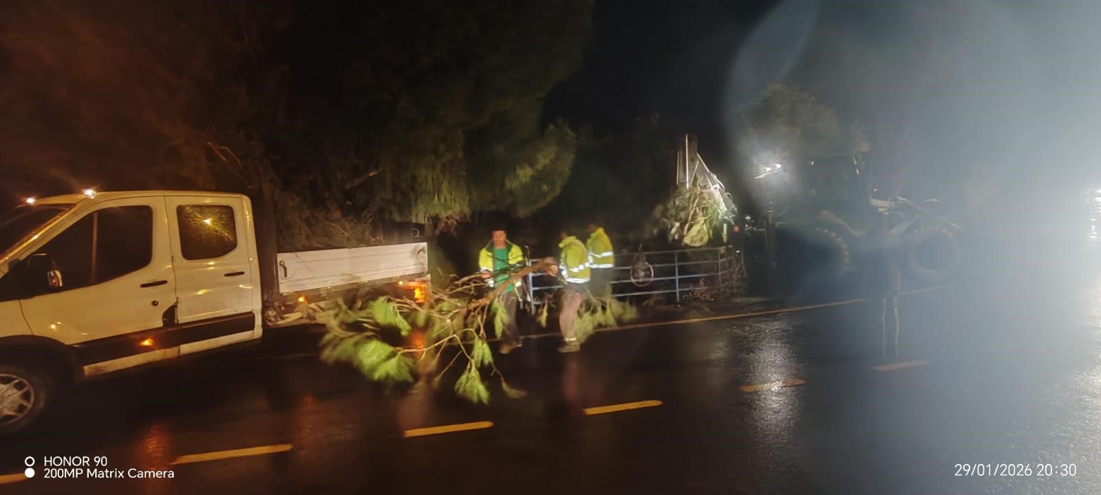 Germencik’te Ağaçlar Devrildi (6)