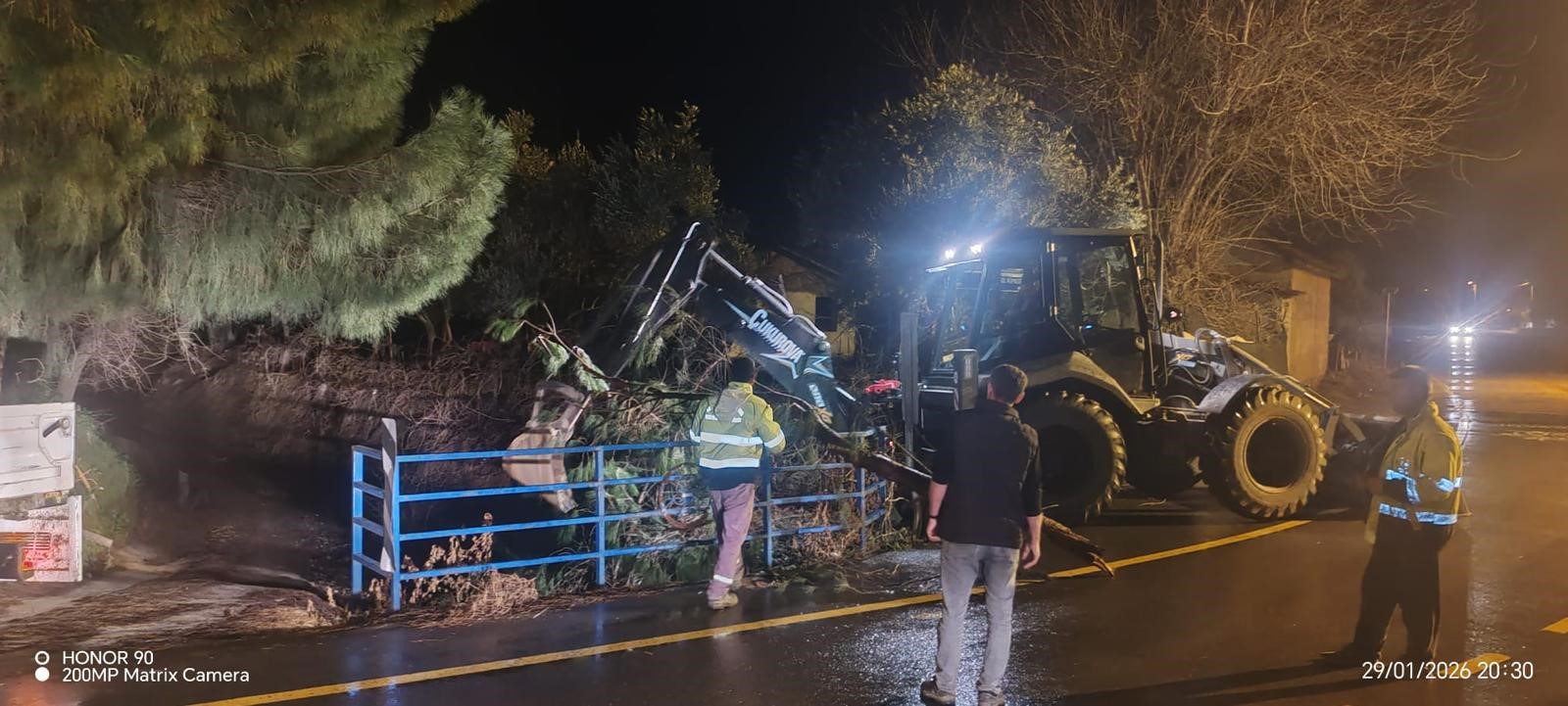 Germencik’te Ağaçlar Devrildi (7)