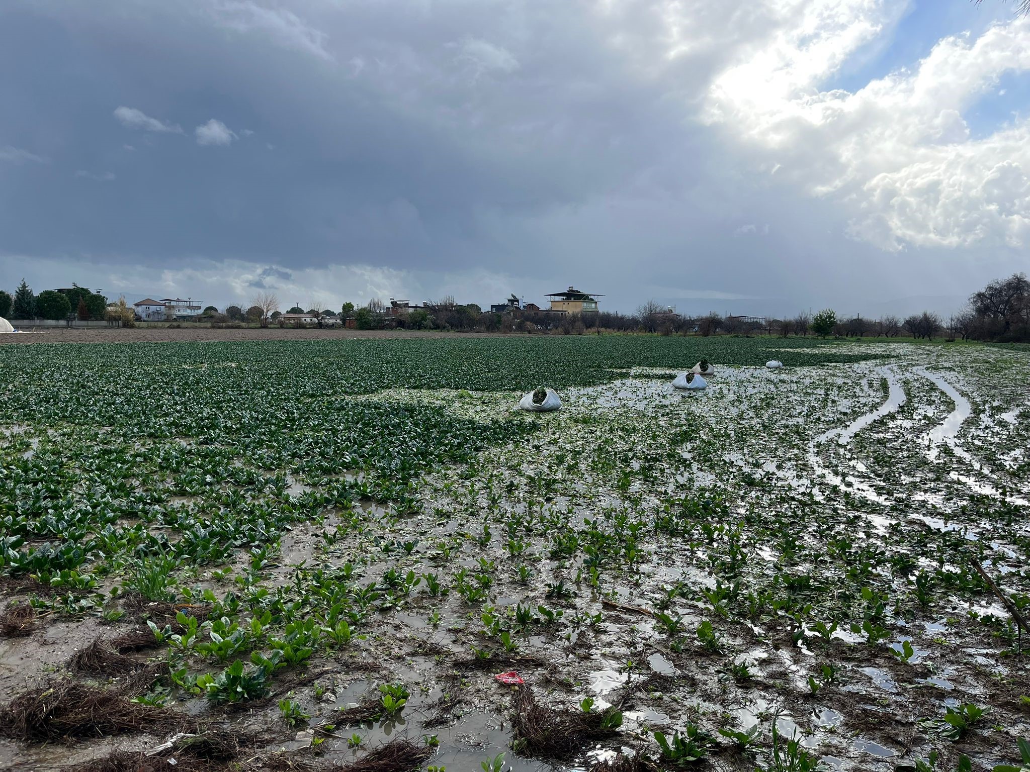 İncirliova’da Sağanak Yağış Yolları Göle Döndürdü (4)