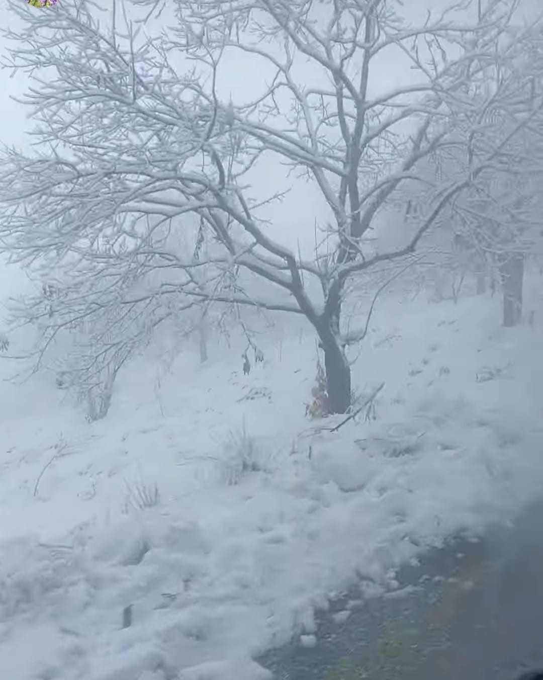 Kar Yağdığını Haber Alan Aydınlılar Buraya Akın Etti (4)