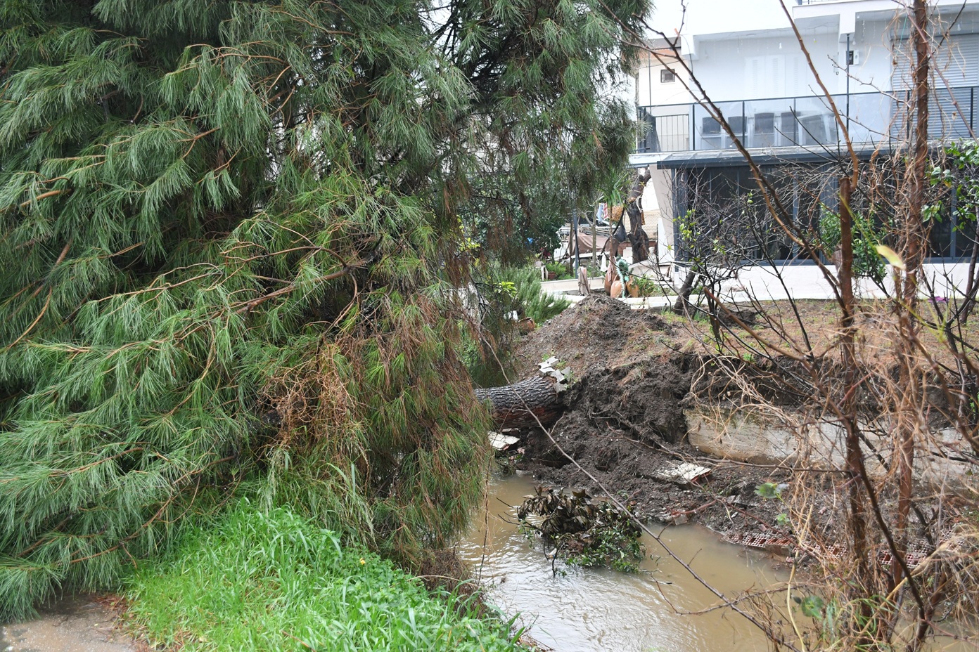 Kuşadasi Beledi̇yesi̇ Olasi Bi̇r Faci̇anin Önüne Geçti̇ (2)